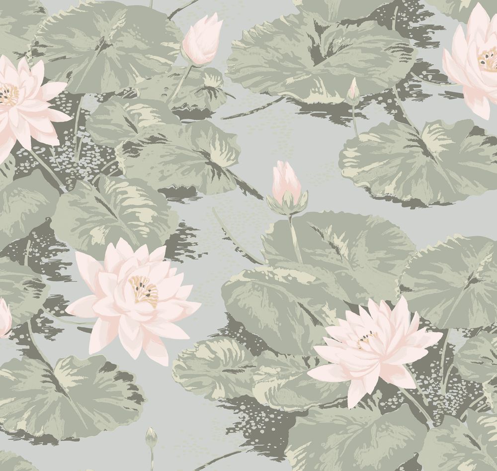 Шервуд Нимфея Альба