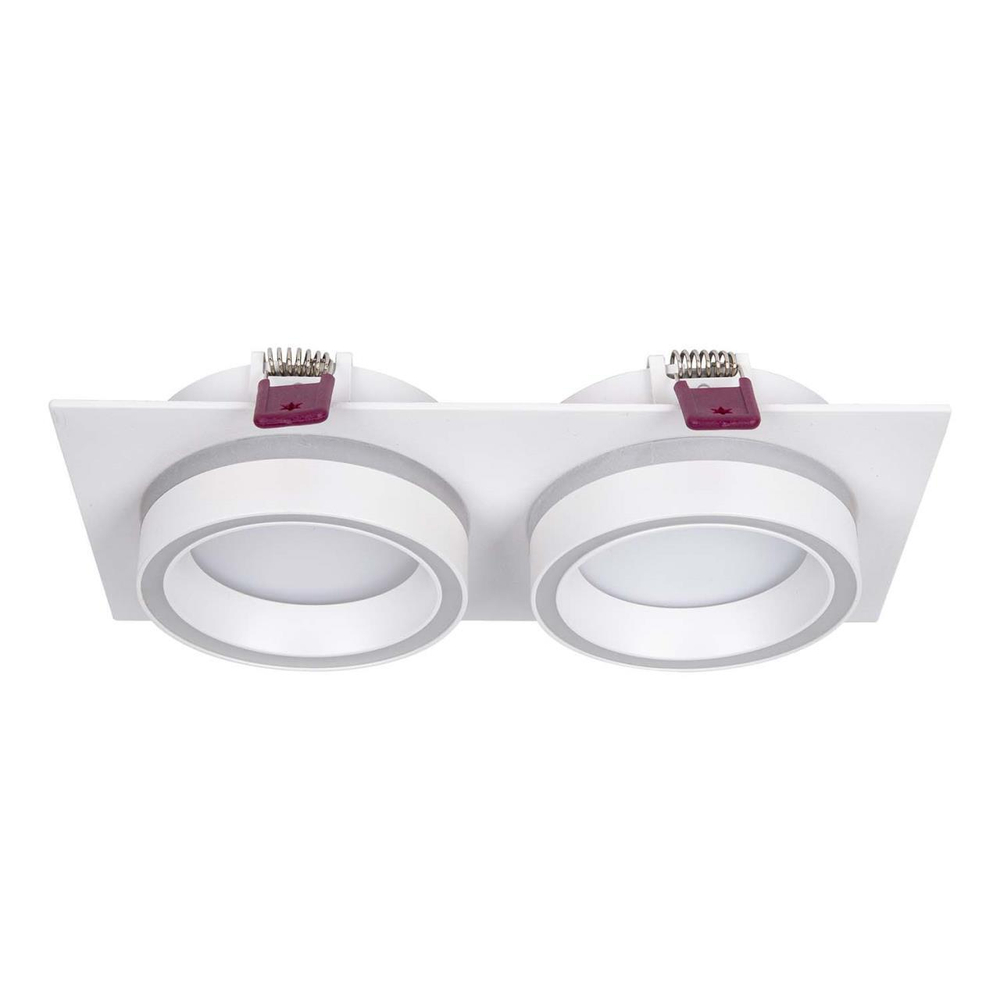 Встраиваемый светильник Favourite Vasto 4650-2C