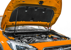 Газовые упоры капота Rival для Subaru XV II 2017-н.в., 2 шт., A.ST.5401.1