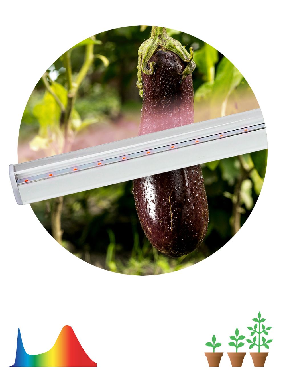 светильник полный спектр