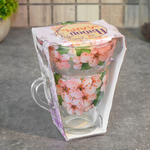 Набор "Ланч" 2 предмета (кружка 250мл, салатник 250мл) "Сакура"