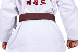 Пояс для тхэквондо ProfSport с вышивкой коричневый