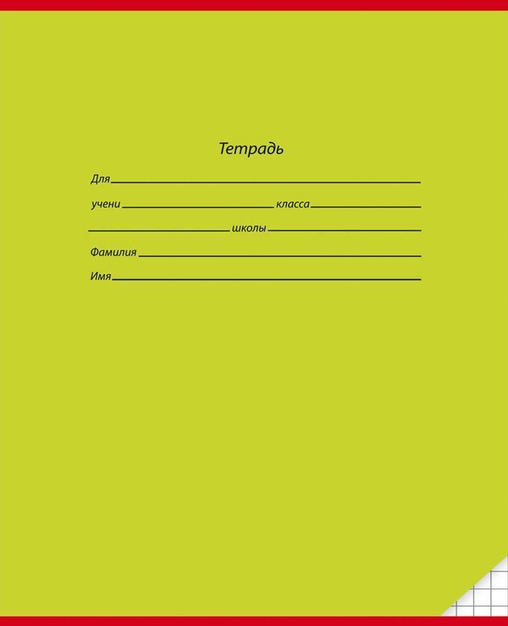 Тетрадь А5 12л. клет. Классика в ассорт. (12131-12135) (Проф-Пресс)