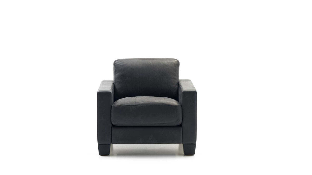 Кресло DeSede DS-17/151 Armchair