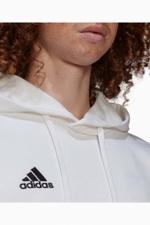 Кофта adidas Entrada 22 Sweat