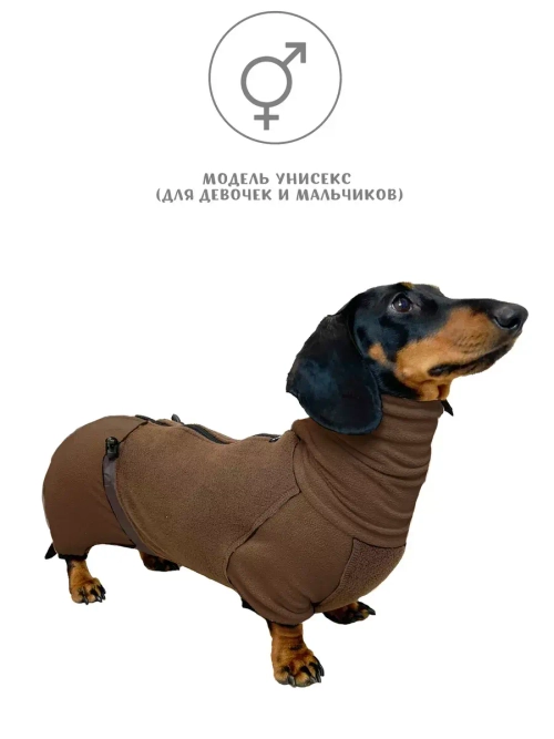 Флисовый комбинезон для таксы весенний