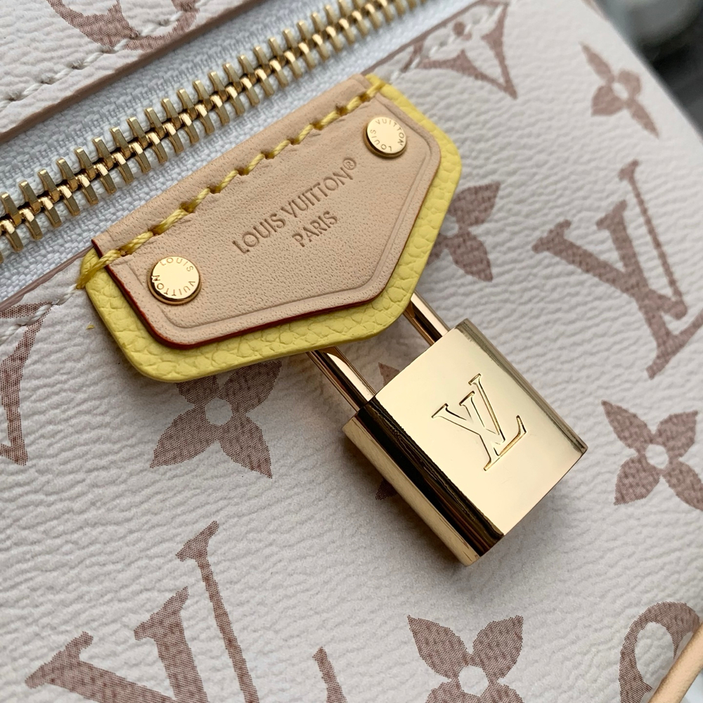 Louis Vuitton Vanity Chain Pouch