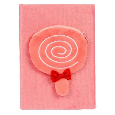 Записная книга с пеналом "Леденец" 22*15 см, 80 листов