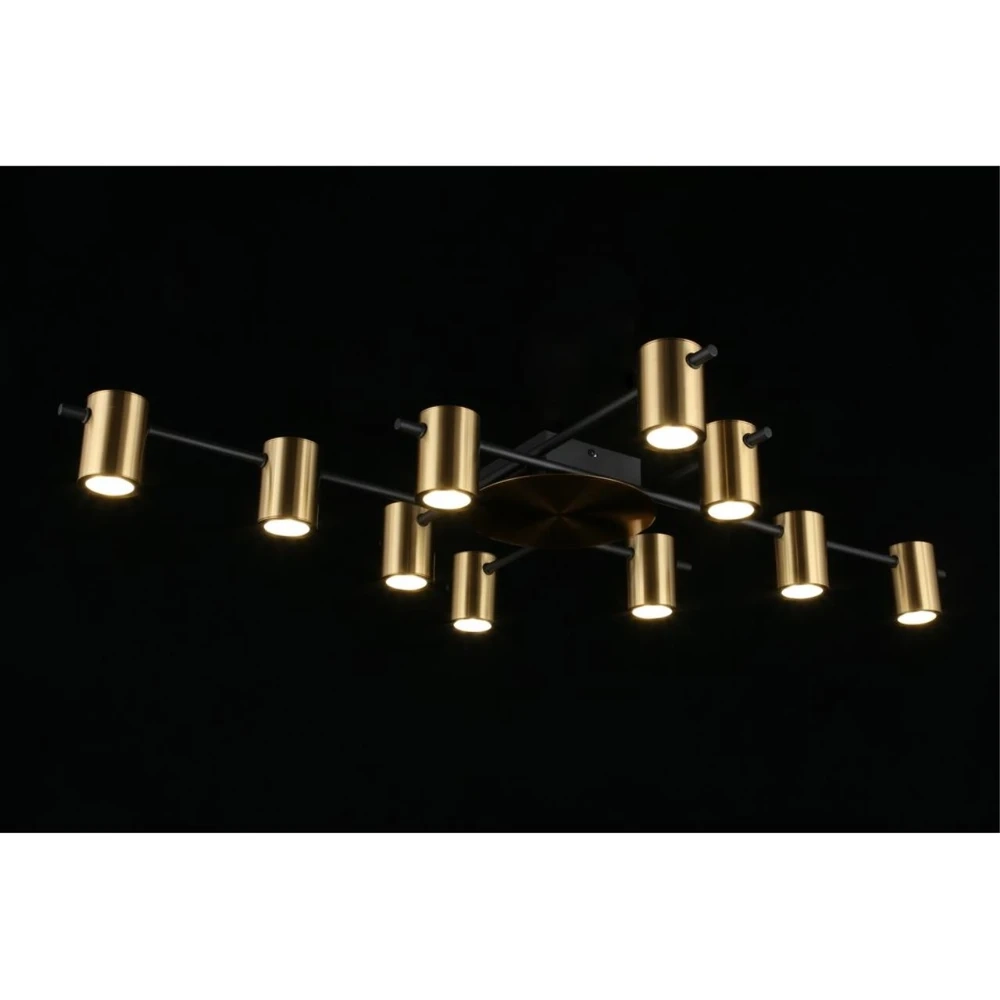 Потолочная люстра Aployt ELWISIA APL.633.07.10