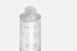 SKINJESTIQUE Антиоксидантный тонер ANTIOXIDANT PROTECTION TONER, 100 мл