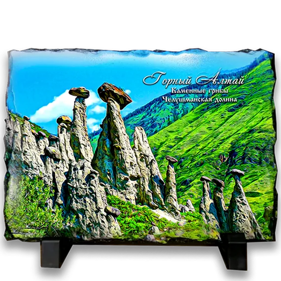 фотокамень 19*14 &quot;Каменые грибы&quot;