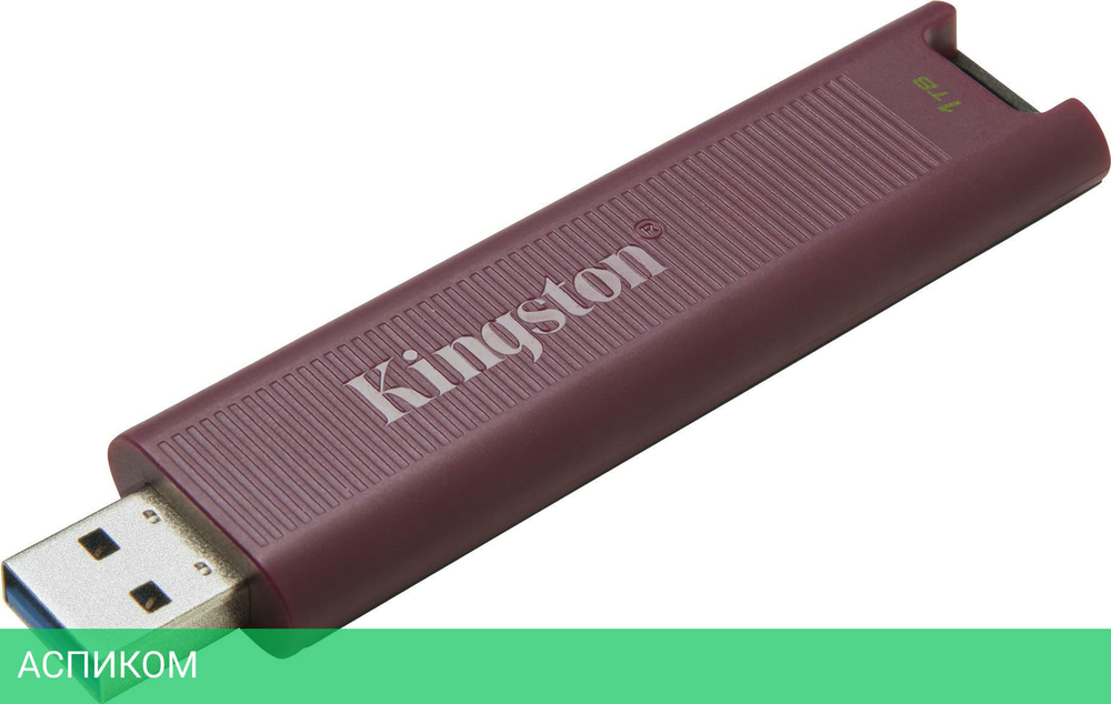 USB Flash-накопитель Kingston Data Traveler Max 1TB бордовый (DTMAXA/1TB)