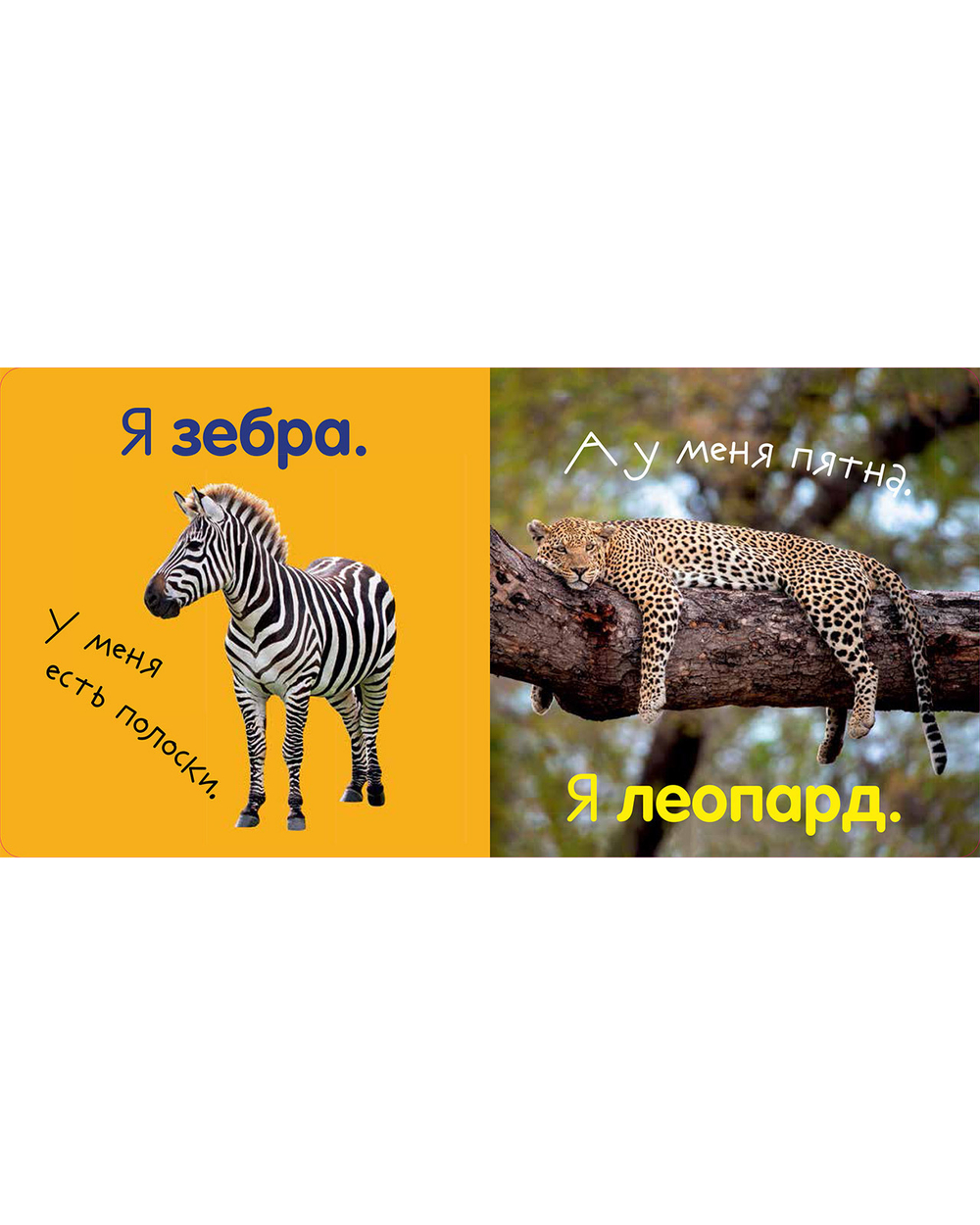 Первая фотокнига малыша. Животные