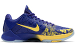 Кроссовки Nike Zoom Kobe 5 Protro "5 Rings"