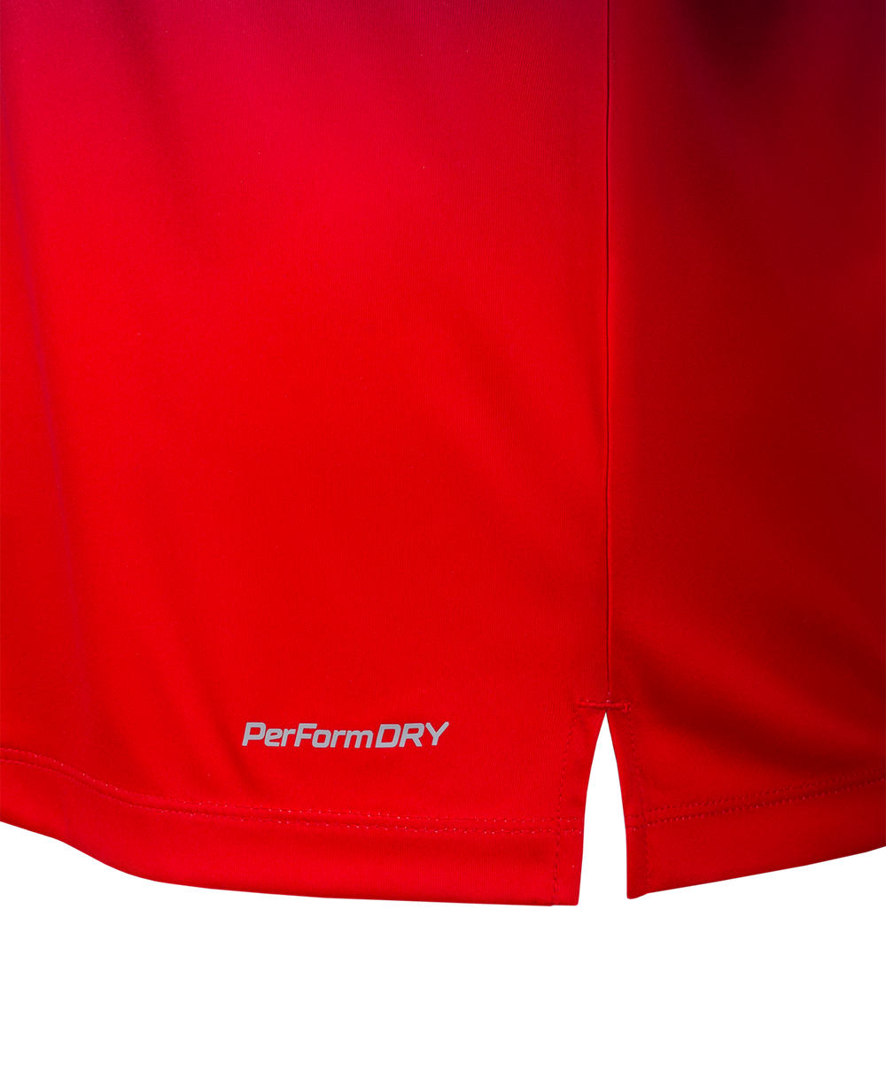 Футболка разминочная JOGEL NATIONAL PerFormDRY Pre-Match Tee, сине-красный