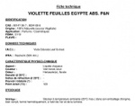 VIOLET LEAF EGYPT ABS P&N / ФИАЛКОВЫЙ ЛИСТ ЕГИПЕТ ABS P&N CAS 8024-08-6 и 90147-36-7