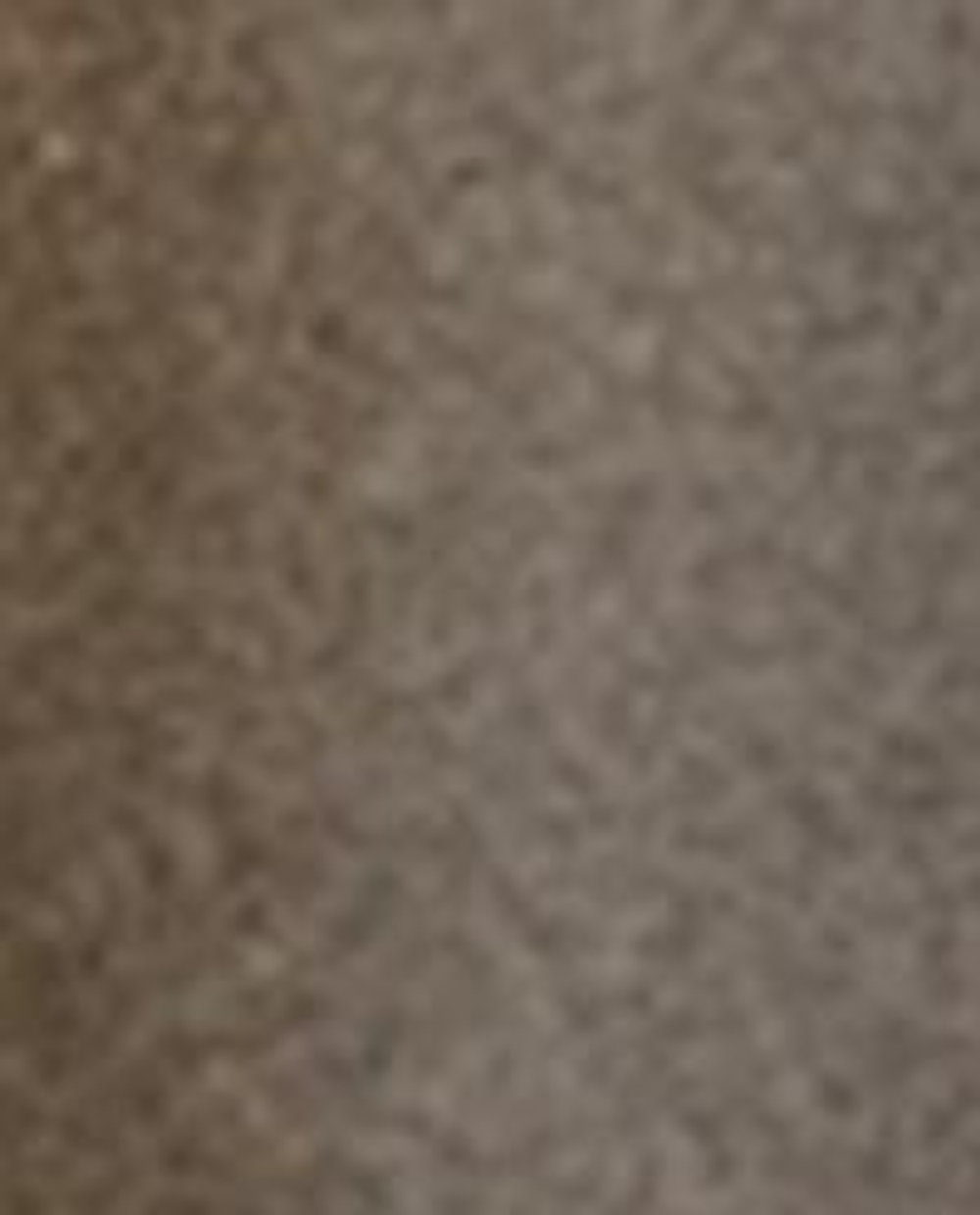 Zara Home Аромадиффузор Amber Myth 100 мл, тростниковые палочки микадо, аромат восточный древесный, Коричневый