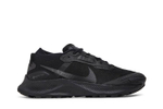 Кроссовки Nike Pegasus Trail 3 Gore-Tex "Black"
