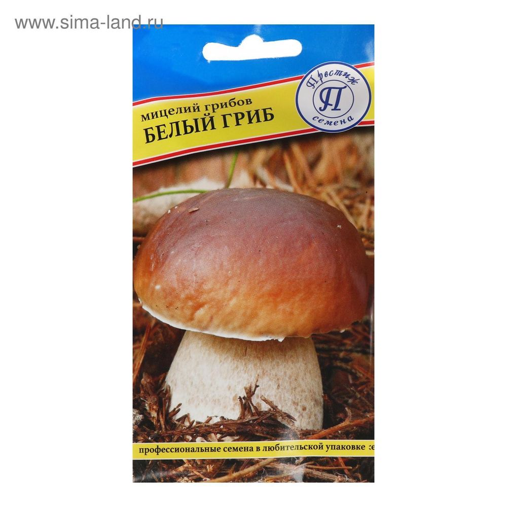 Белый гриб 60мл Ц(П)