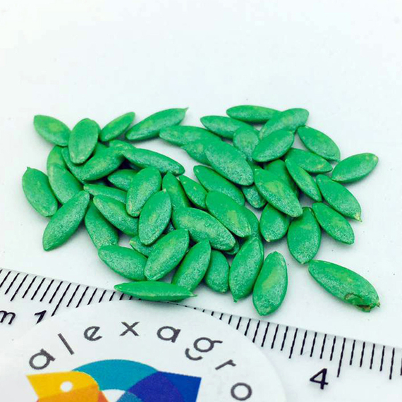 АДАМ F1 семена огурца Bejo отзывы – фото 5