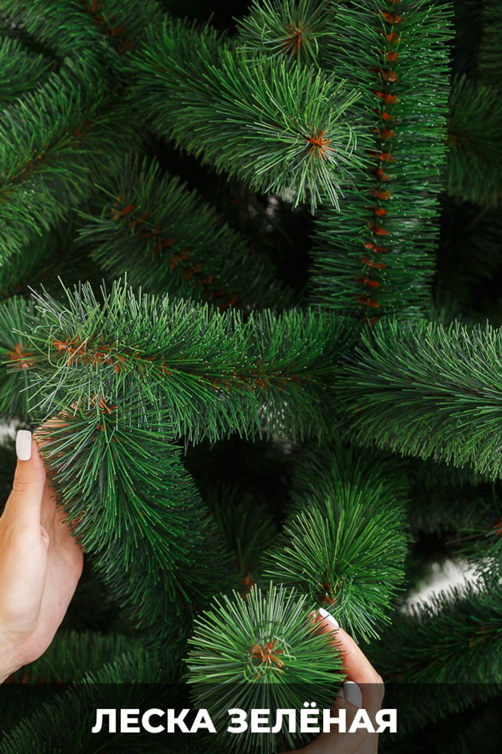 Ветка на крючке - хвоя леска