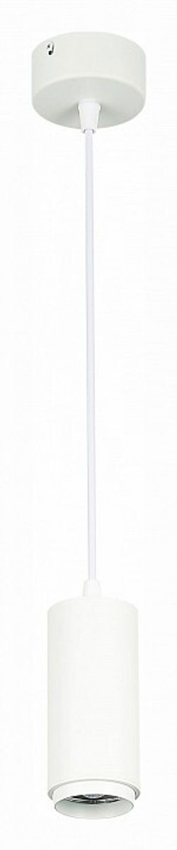 Подвесной светильник ST-Luce Zoom ST600.543.10