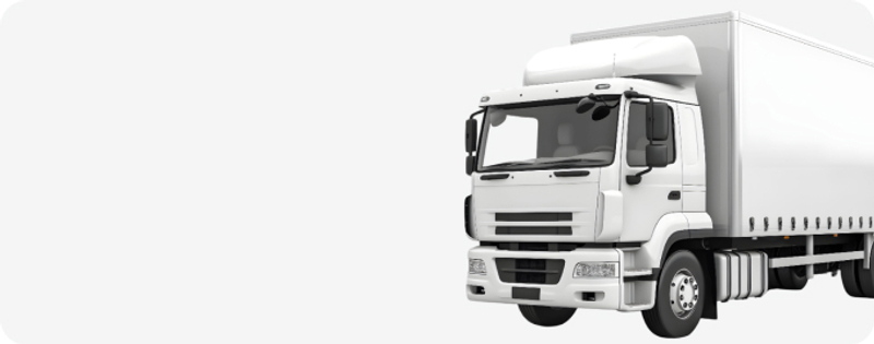 Оперативная<br> и бережная доставка