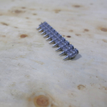 Гвозди 3.0*17 мм с кованым наконечником для BX3 FEDAST