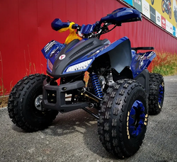 Квадроцикл MOTOLAND (МОТОЛЕНД) 125 COYOTE PRO