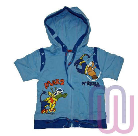 Джемпер для мальчиков Pelican BXTK 285