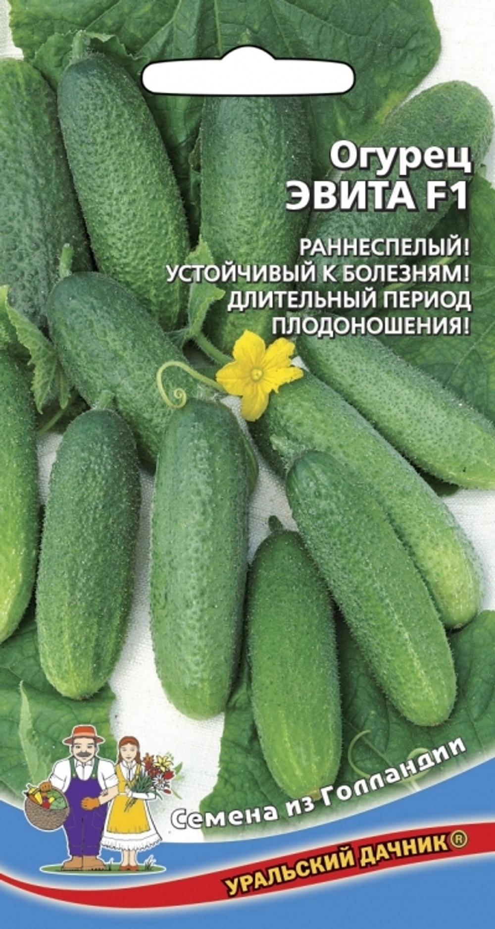 огурец Эвита F1