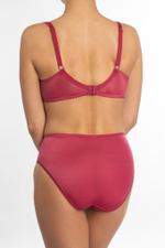 1109 бюстгальтер "Сангрия с вышивкой"