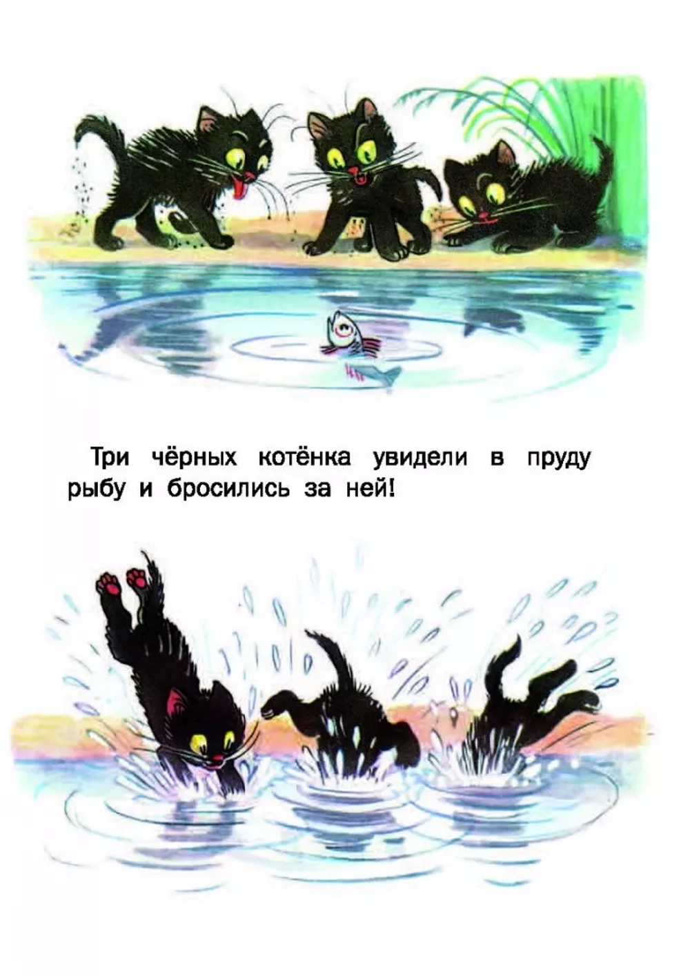 Сказки. Сутеев