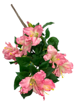 Альстромерия розовая