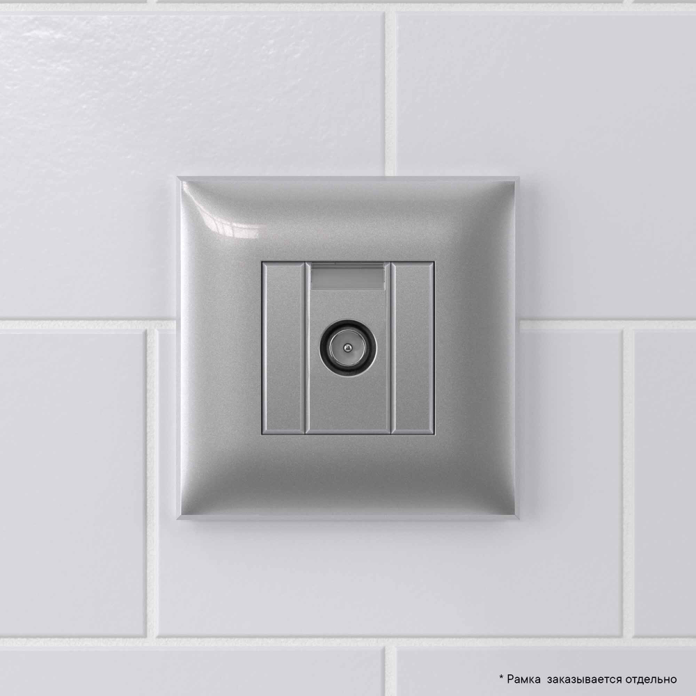 Розетка TV оконечная в стену, "Avanti", "Закаленная сталь"