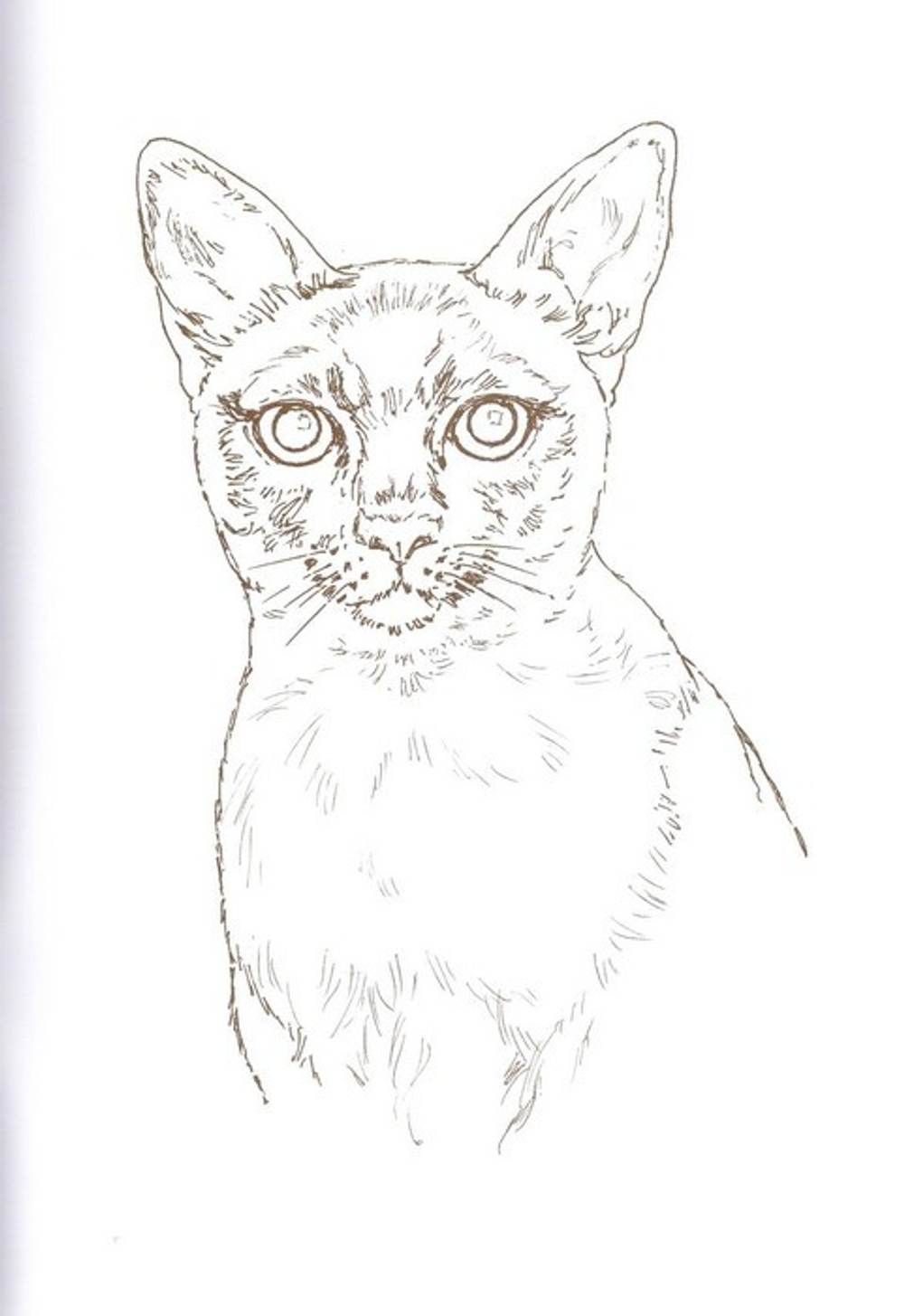 Альбом для раскрашивания полноцветный. Раскраски