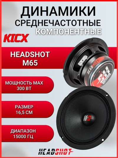 проф акустика динамик с\ч Headshot M65 300W 6,5 ()