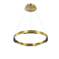 2063-DW-400 PAINT GOLD (1) Светильник (NW)