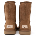 Ugg Classic Short II Chestnut