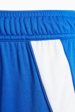 Шорты adidas Tiro 24 Junior - синий
