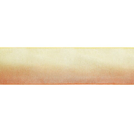 Лента капроновая  024/076, 25 мм "BLITZ",  двухцветная