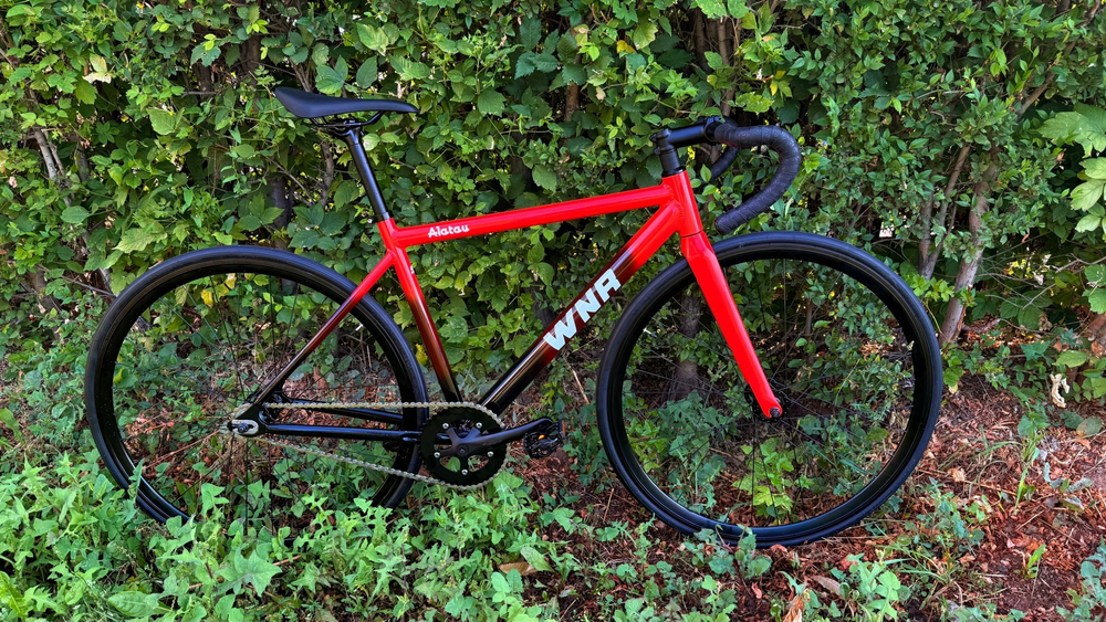 Арт Велосипед Alatau M