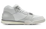 Кроссовки Nike Air Trainer 1 "Photon Dust"