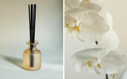 Zara Home ORCHIDÉE LUMIÈRE REED DIFFUSERS — ароматический диффузор с тростниковыми палочками, Орхидея Света, 120 мл