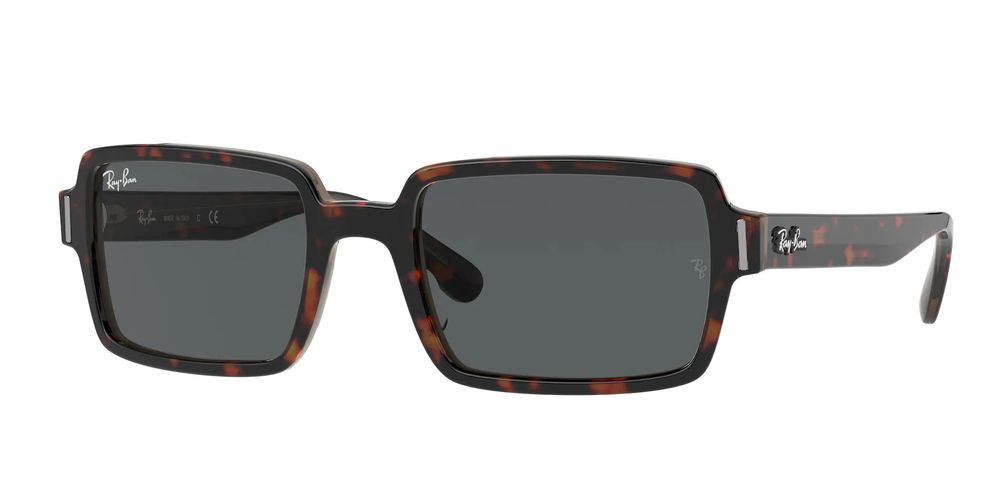 Ray Ban 2189 BENJI