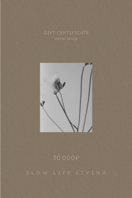 Подарочный сертификат на 30,000 рублей / Veter Shop
