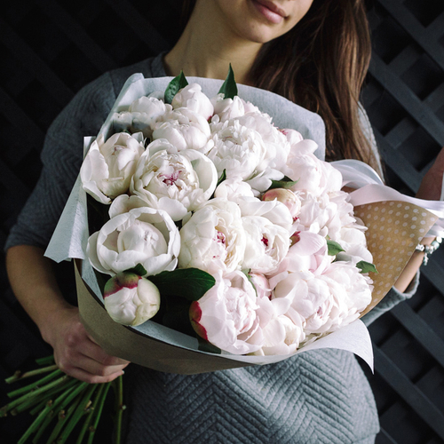 Купить Пионы белые "Festiva Maxima" от 3шт