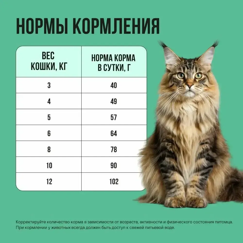 Сухой корм BOWL WOW для стерилизованных кошек с индейкой, курицей и шпинатом