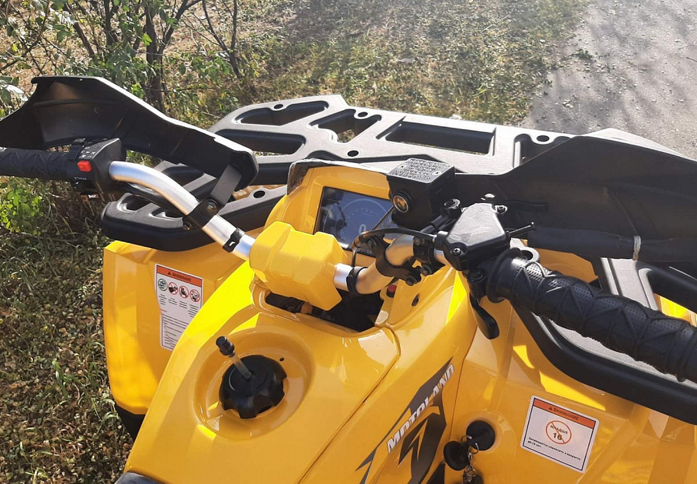 Квадроцикл MOTOLAND (МОТОЛЕНД) 200 WILD TRACK X PRO-SPORT (баланс.вал)