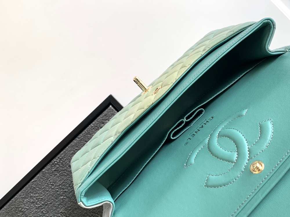 Chanel Bag 25 cm